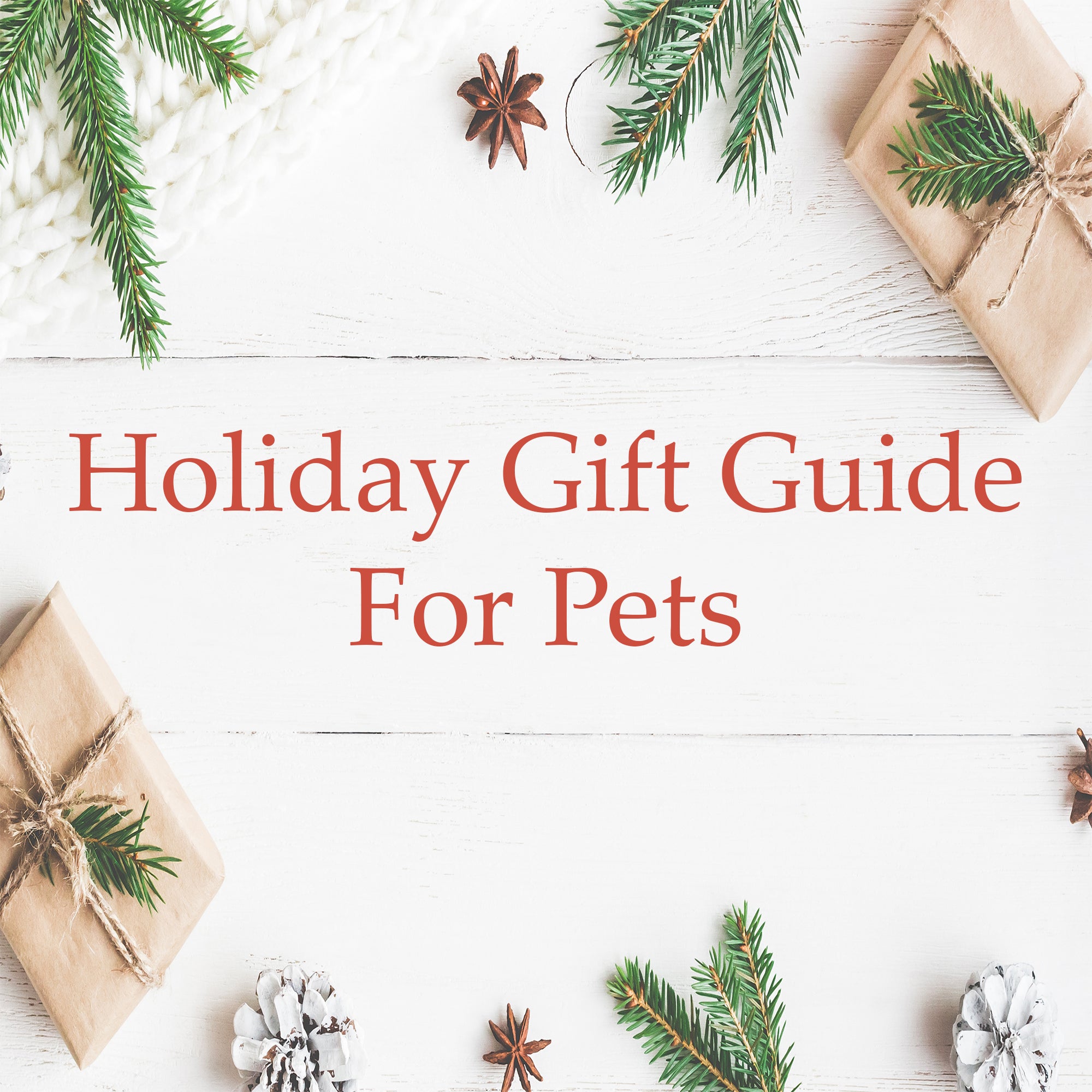 HOLIDAYS 2023 - For our Furry Friends Gift Set