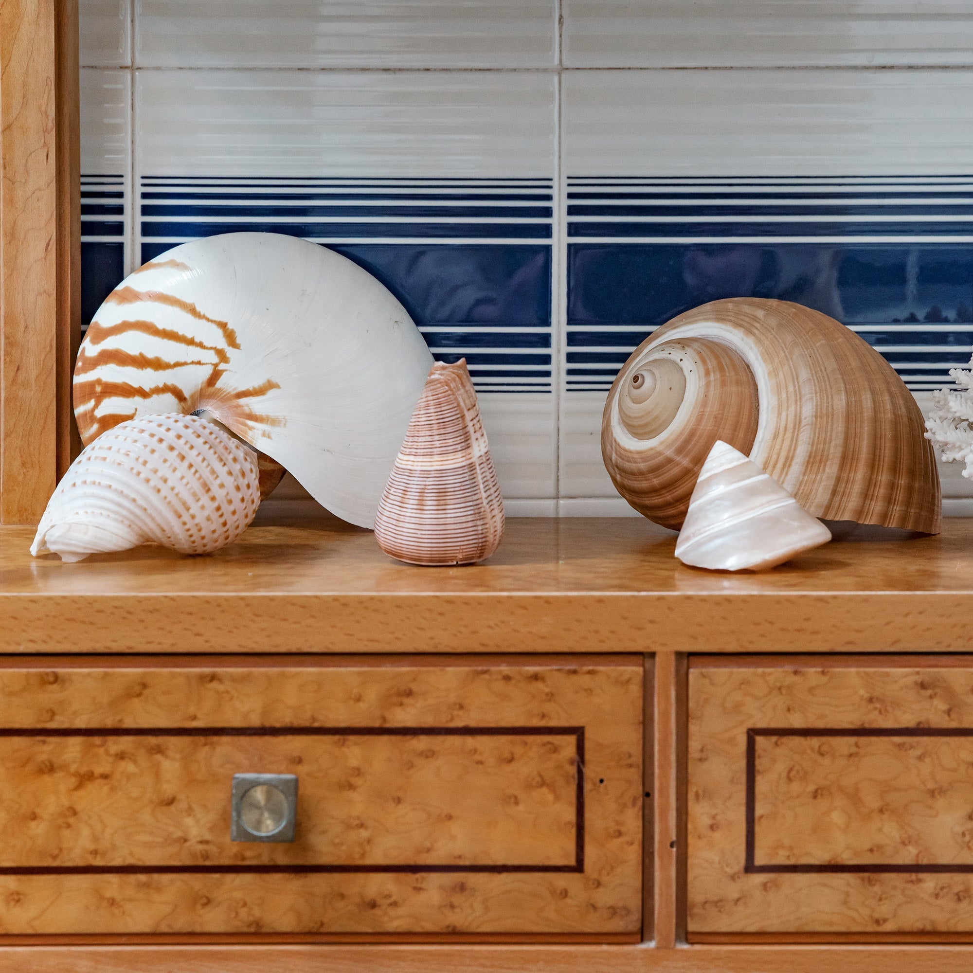 Beautiful: How to Incorporate Coastal-Inspired Home Décorécor