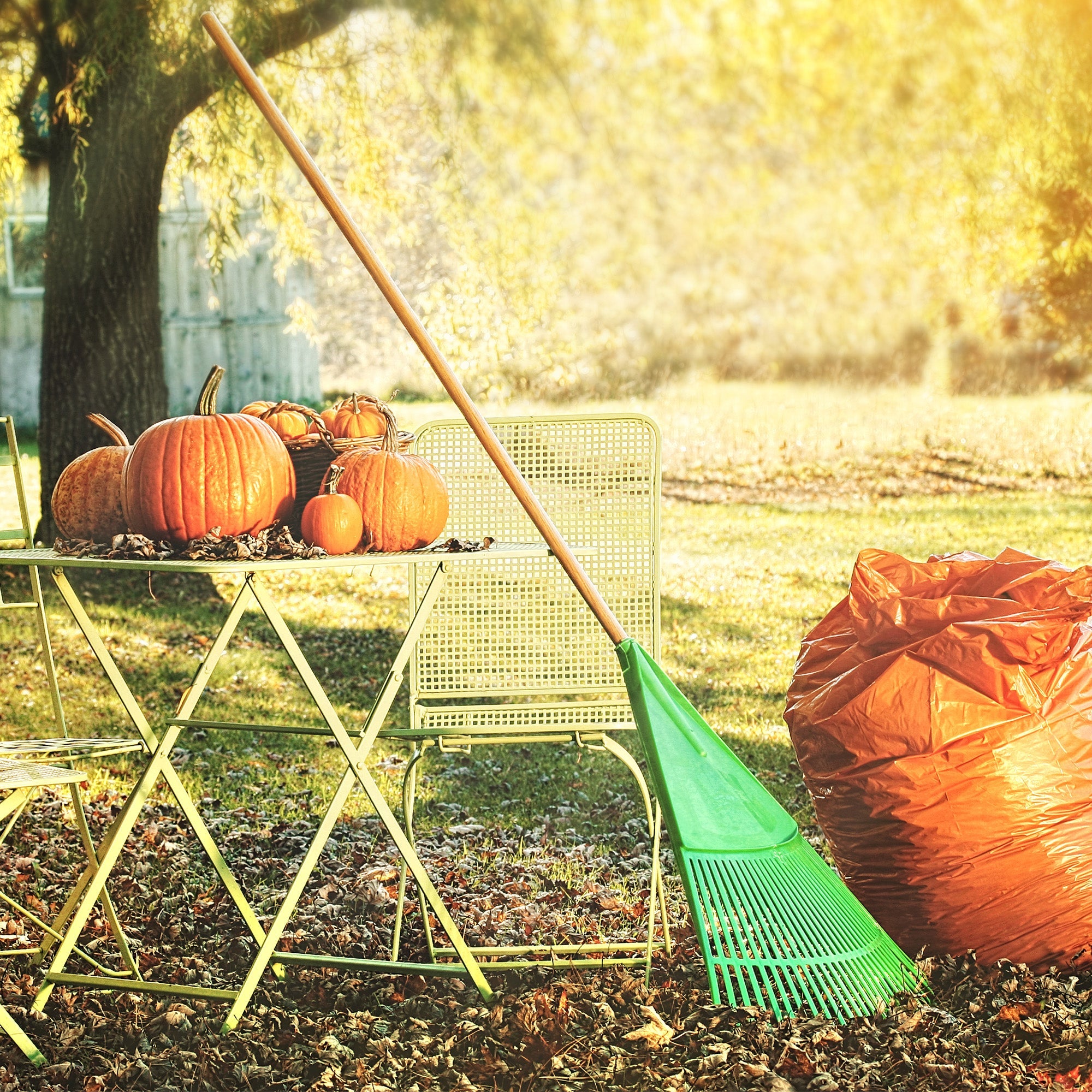 August Home Maintenance Checklist: Decor-Friendly Ways to Prepare for Fall