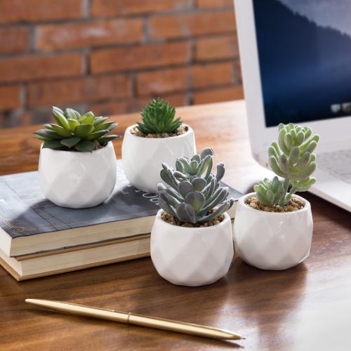 Faux Succulents in Geometric Ceramic Pots, Set of 4