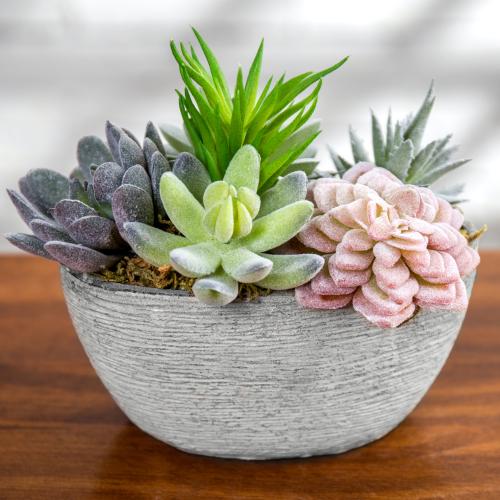 Tabletop Artificial Succulents in Oval Pulp Pot