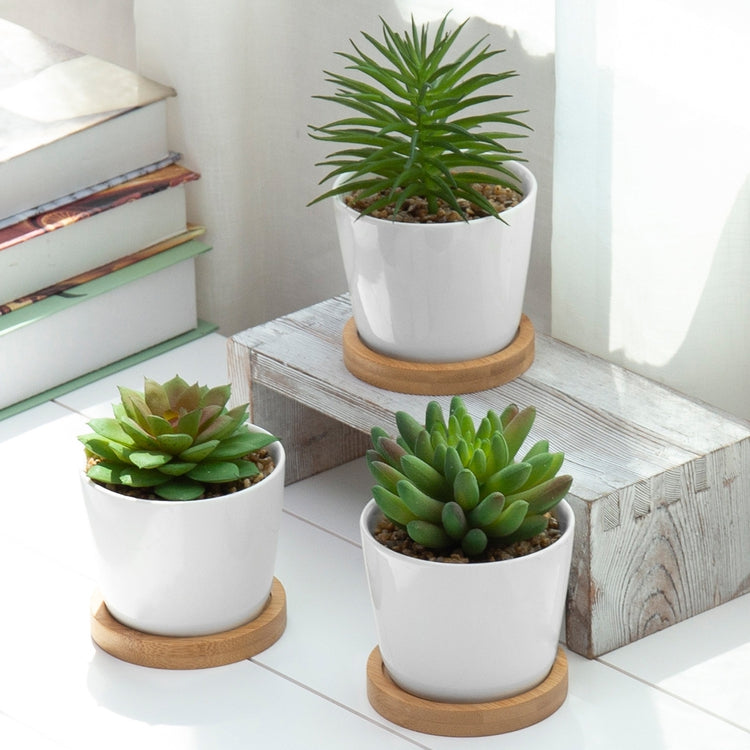 small indoor succulents Mini Artificial Succulents in White Ceramic Pots w/ Bamboo Saucers, Set of 3