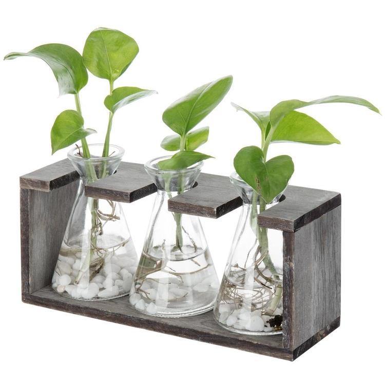 3-Glass Beaker Wood Stand Vases - MyGift