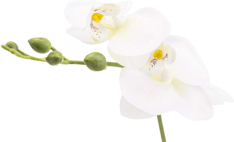 Mini White Artificial Silk Orchid Flower in Square Glass Container-MyGift