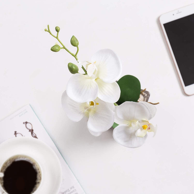Mini White Artificial Silk Orchid Flower in Square Glass Container-MyGift