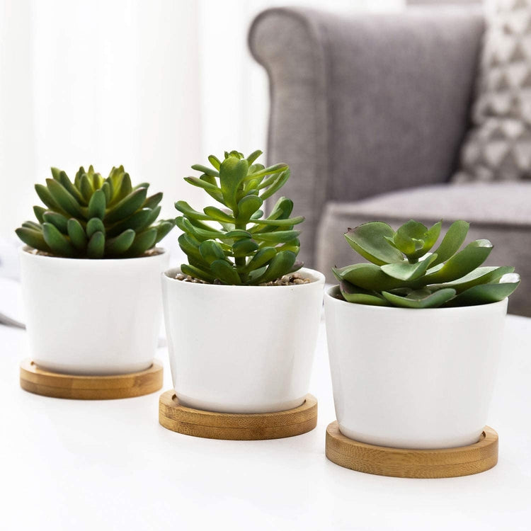 Artificial Succulent Plants in White Ceramic Pots with Bamboo Trays, Set of 3