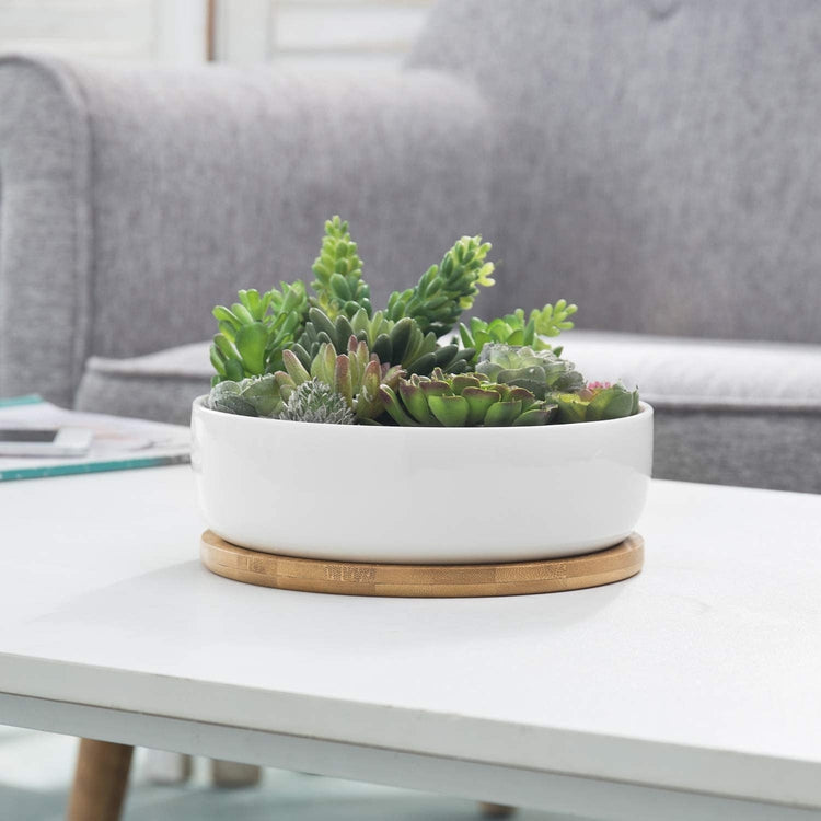 succulent pot drainage 8-Inch Succulent White Ceramic Round Planter Pot with Drainage Hole and  Removable Bamboo Tray