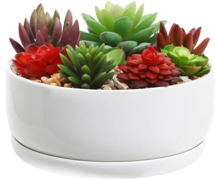 6-Inch White Ceramic Succulent Flower Planter Pot with Round Tray-MyGift