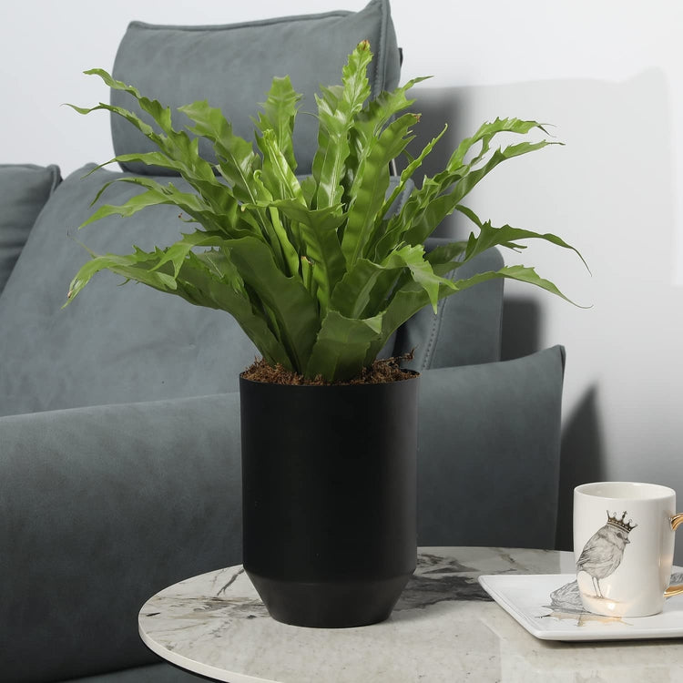 Black Metal Tapered Design Flower Vase, Decorative Indoor Planter Pot-MyGift