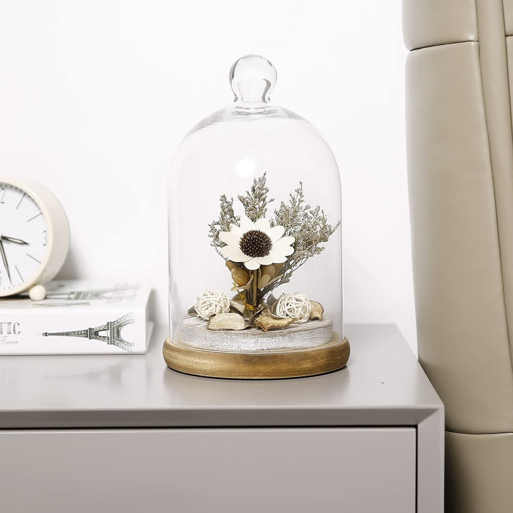 10-inch Glass Dome Bell Jar Cloche Display Case