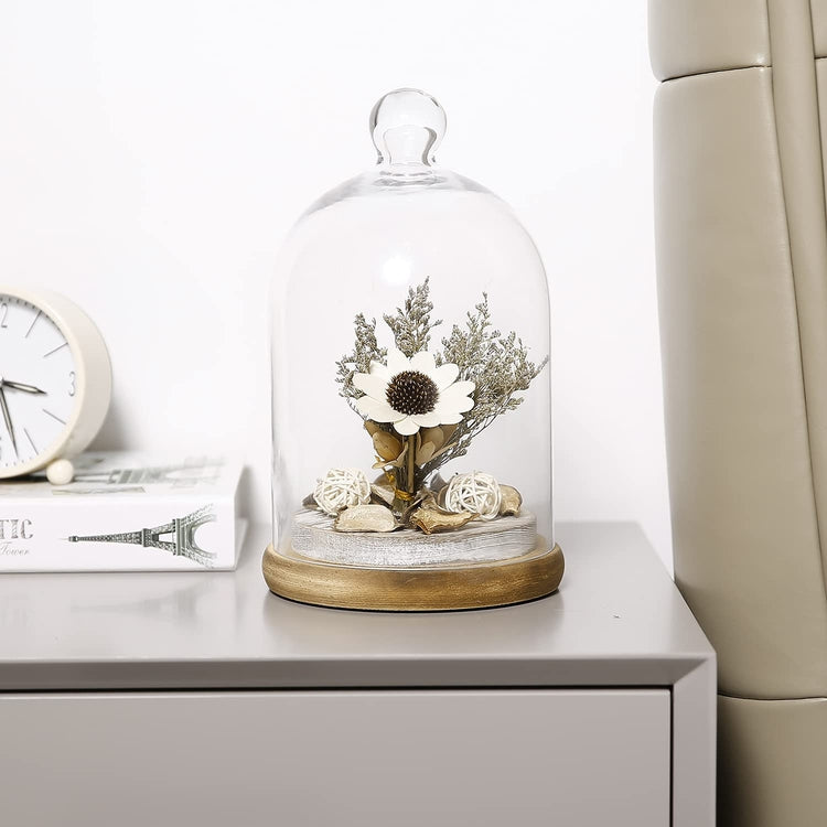 10-inch Glass Dome Bell Jar Cloche Display Case, Solid Wood Base with Burnt Brown and Whitewashed Finishes-MyGift