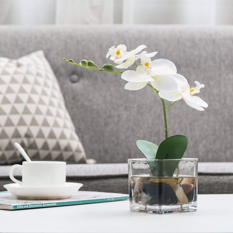 Mini White Artificial Silk Orchid Flower in Square Glass Container-MyGift