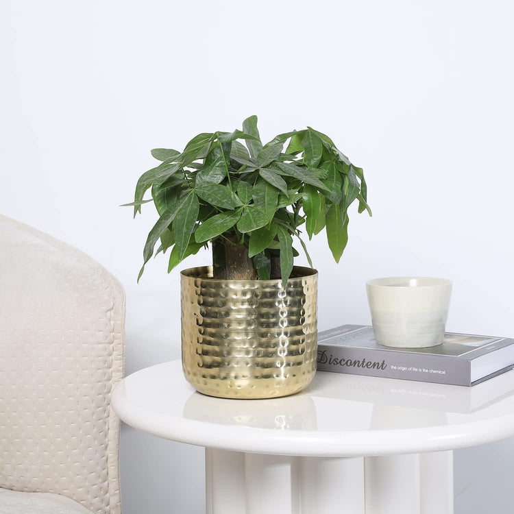 Round 6-Inch Metal Planter Brass Tone Flower Pot with Hammered Texture