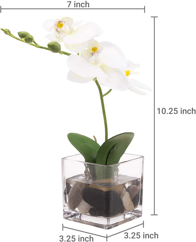 Mini White Artificial Silk Orchid Flower in Square Glass Container-MyGift