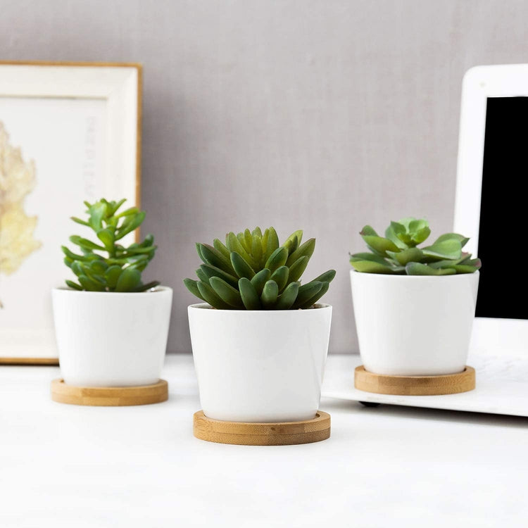 Set of 3 Artificial Succulent Plants in White Ceramic Pots with Bamboo Trays-MyGift