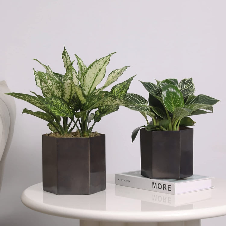 Copper Tone Metal Plant Pot, Decorative Succulent Cactus Planter, Hexagonal Vase, Set of 2