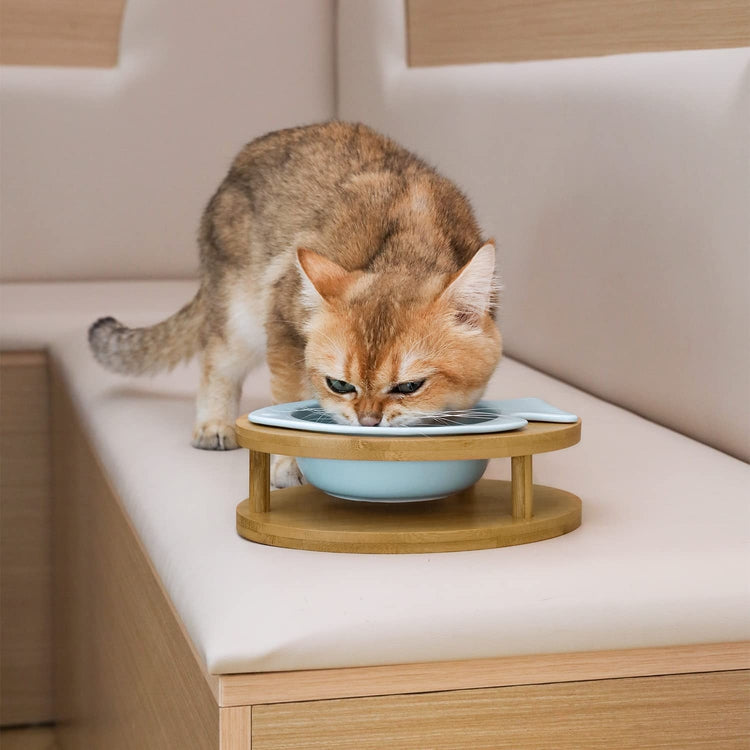 Blue Fish Design Pet Cat Feeder Bowl with Raised Eco-Friendly Natural Bamboo Base