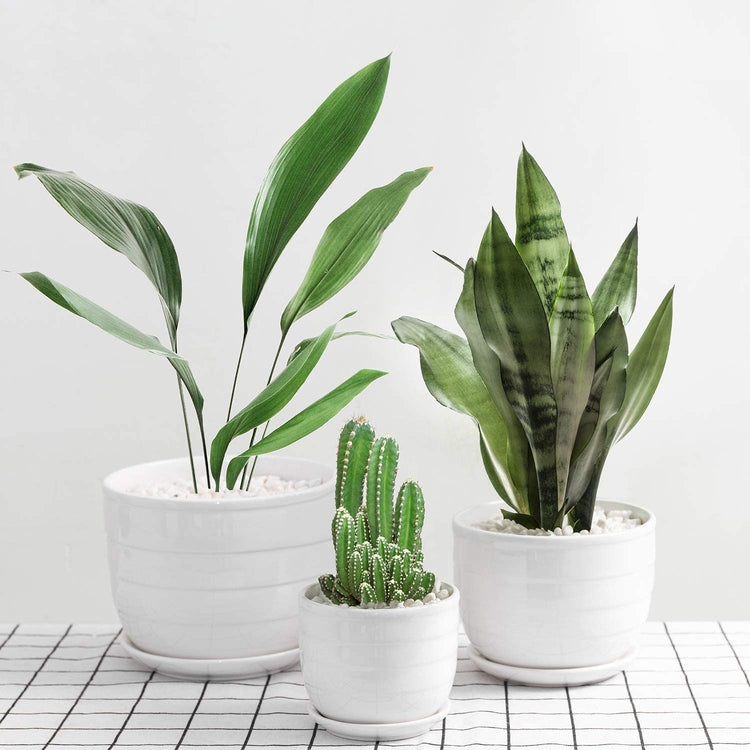 Set of 3 White Glazed Round RIbbed Ceramic Nesting Planters with Attached Saucers-MyGift