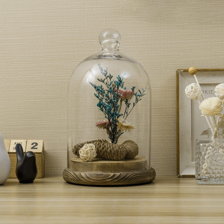 10-inch Glass Dome Bell Jar Cloche Display Case, Wood Base with Burnt and Dark Burnt Finishes-MyGift