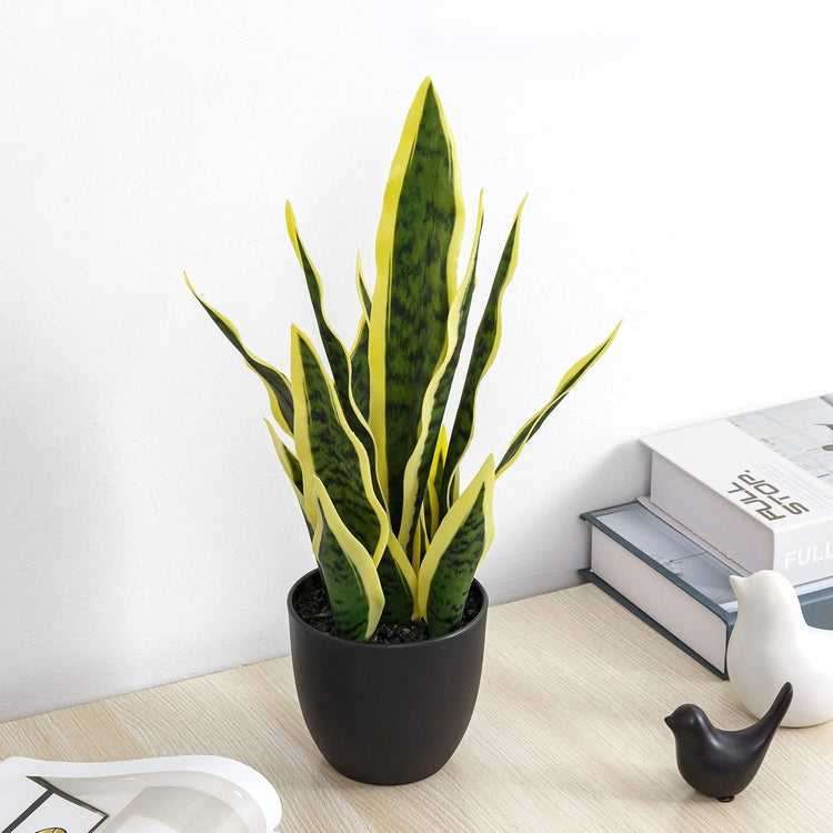 Artificial Faux Tall Snake Plant in Matte Black Planter Pot-MyGift