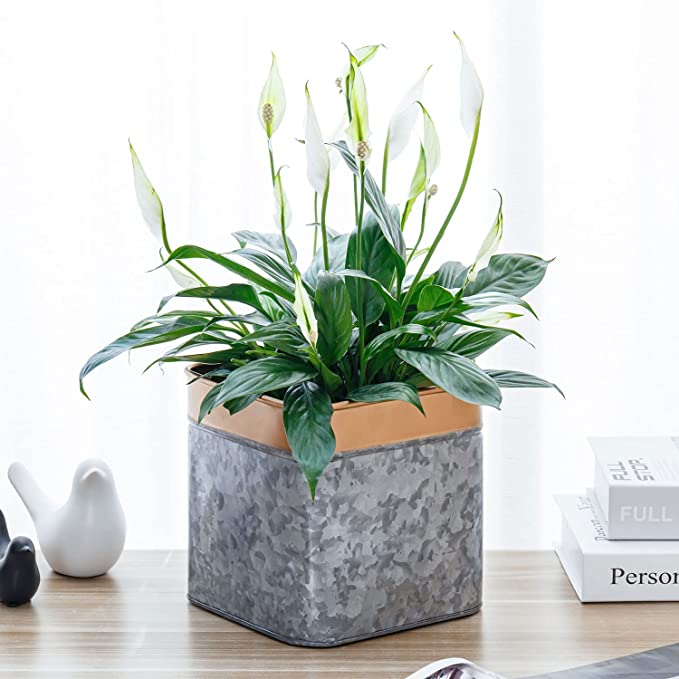 6 Inch Succulent Planter, Copper Tone Metal Plant Pot with Hammered Design-MyGift