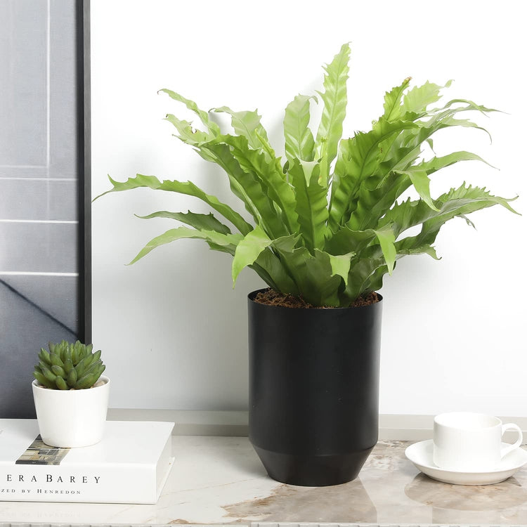 Black Metal Tapered Design Flower Vase, Decorative Indoor Planter Pot