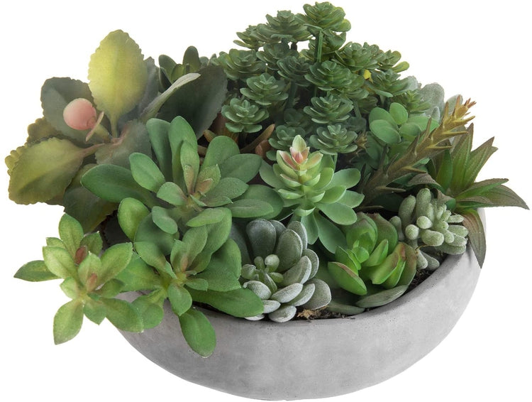 Faux Assorted Succulent Plants in Round Gray Cement Planter Pot-MyGift
