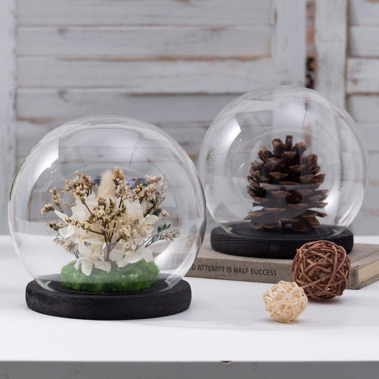 Set of 2, 6-inch Clear Glass Terrarium and Keepsake Display Globe Cloche with Black Wood Base-MyGift