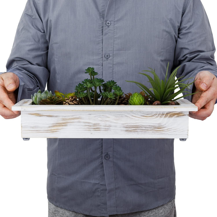 trough for succulents Whitewashed Wood Tabletop Window Box Trough Planter, Includes DIY Arti – MyGift