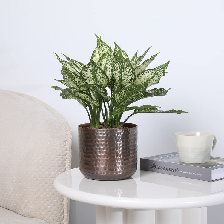 Round 6-Inch Metal Planter, Copper Tone Flowerpot with Hammered Texture