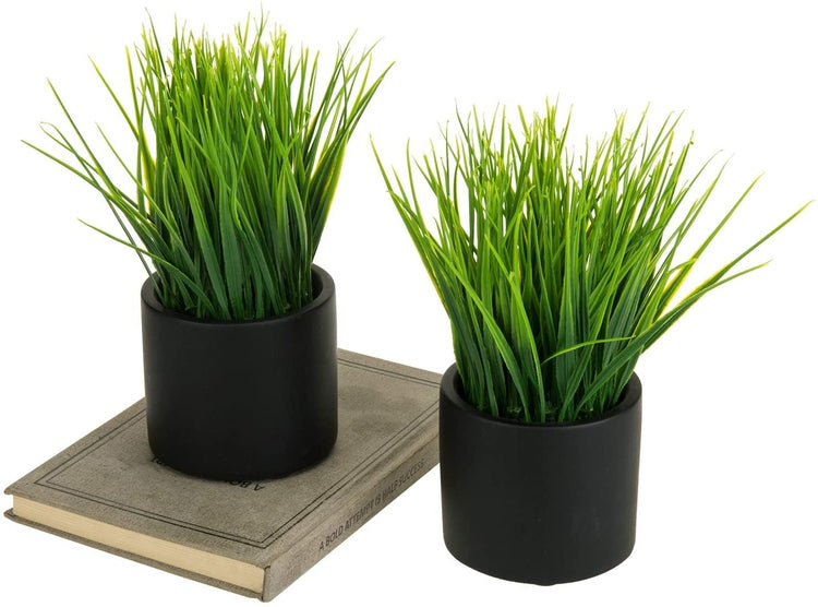 2 Pack Artificial Grass Fake Plant, Faux plant in Modern Round Black Cement Pots-MyGift