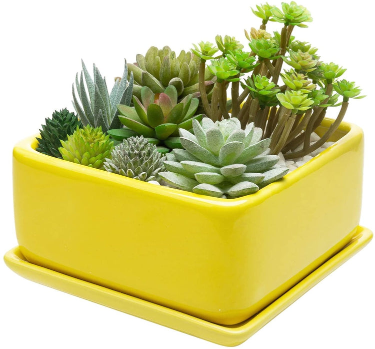 Yellow Ceramic Square Succulent Planter with Removable Drainage Tray-MyGift