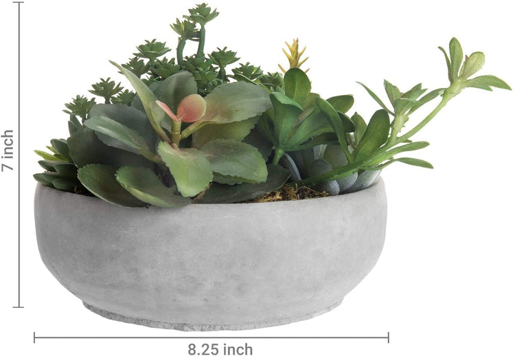 Faux Assorted Succulent Plants in Round Gray Cement Planter Pot-MyGift