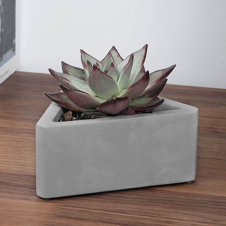 Triangular Indoor Plant Pot Mini Concrete Gray Succulent Planter-MyGift