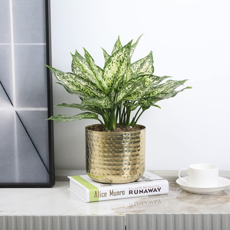 6-Inch Metal Planter Brass Tone Flower Pot with Hammered Texture, Succulent Planter, Cylindrical Indoor Plant Container-MyGift