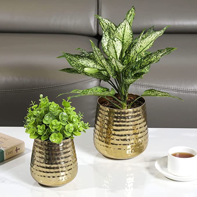 Decorative Indoor Plant Pot with Handcrafted Hammered Design, Brass Metal Succulent Planter, 2 Piece Set
