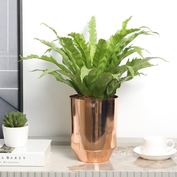 Copper Tone Metal Tapered Bottom Flower Vase, Decorative Indoor Planter Pot