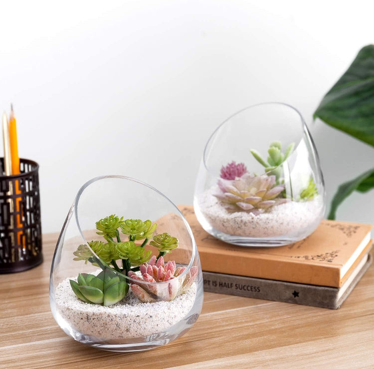 Decorative Round Clear Glass Plant Terrariums, Ornament Display Flower Vases, Set of 2