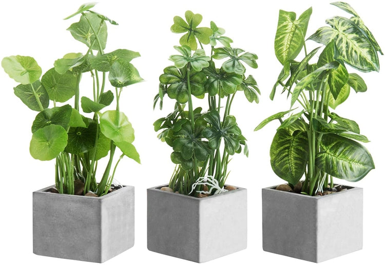 Artificial Assorted Plants Faux Tabletop Greenery in Gray Cement Square Pots, Set of 3