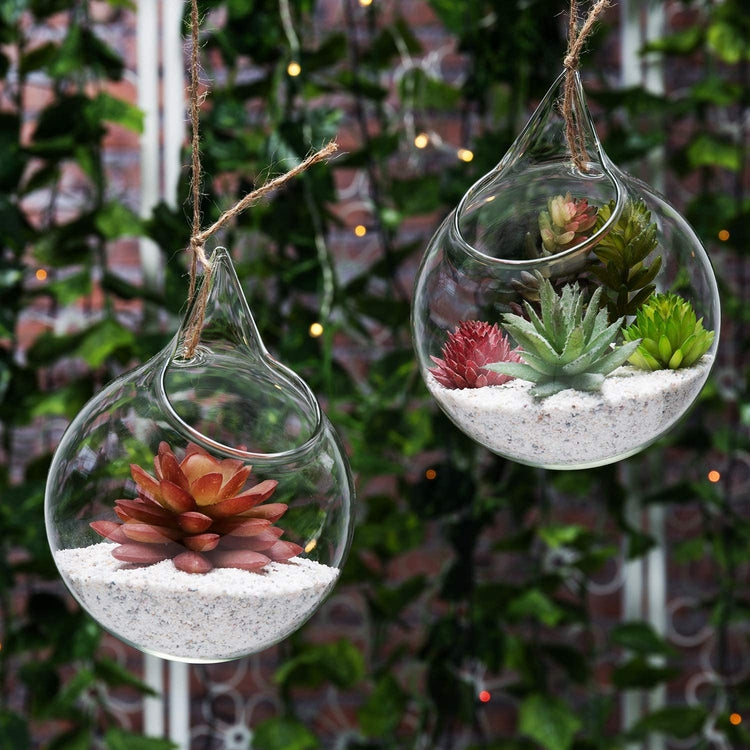 Decorative Clear Glass Globe, Hanging Air Plant Terrarium Planter, Set of 2