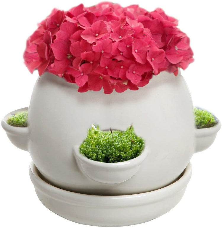 Decorative 4 Side Openings White Round Ceramic Planter Pot with Saucer