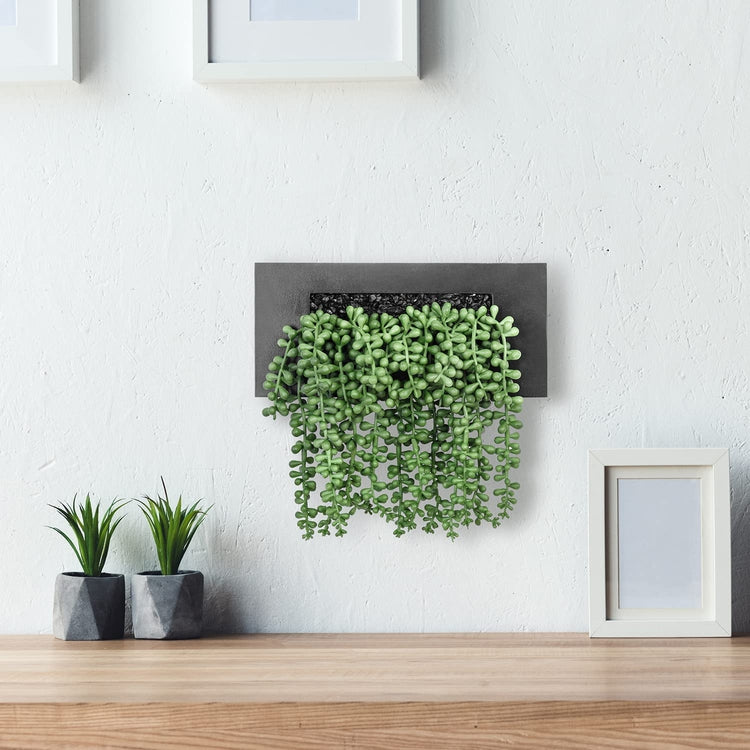 Wall Mounted or Tabletop Artificial String of Pearl Plants Arrangement in Decorative Black Rectangular Planter Box