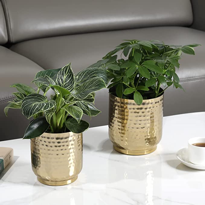 Hammered Brass-Tone Metal Planter Pot Indoor Plant Container, 6-Inch and 5-inch, Set of 2