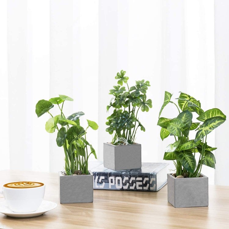 Set of 3 Artificial Assorted Plants Faux Tabletop Greenery in Gray Cement Square Pots-MyGift