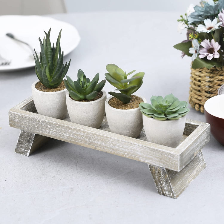 5 Piece Assorted Artificial Succulent with Plant Stand, Potted Fake Plant Decor with Distressed Brown Wood Display Tray-MyGift