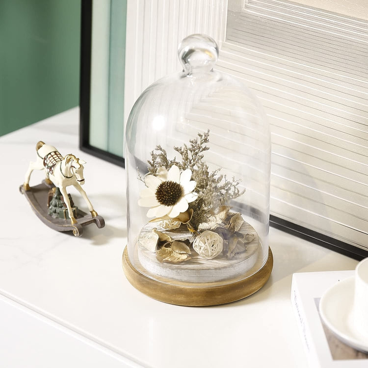 10-inch Glass Dome Bell Jar Cloche Display Case, Solid Wood Base with Burnt Brown and Whitewashed Finishes-MyGift