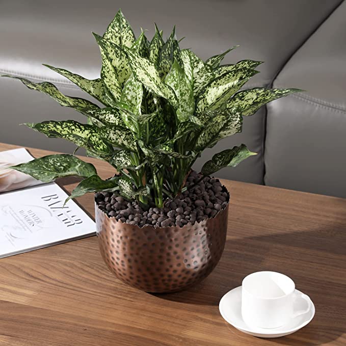 antique plant pots indoor Antique Copper-Tone Metal Indoor Plant Pot with Hammered Design and De –  MyGift