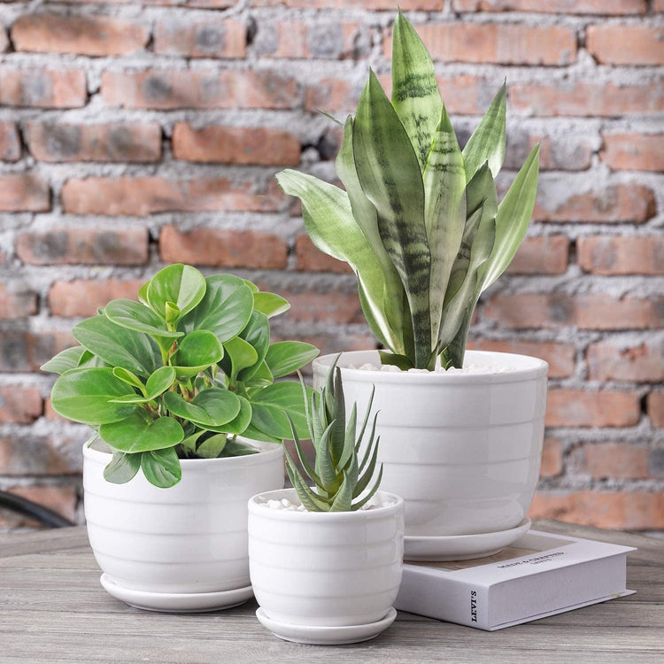 Set of 3 White Glazed Round RIbbed Ceramic Nesting Planters with Attached Saucers-MyGift