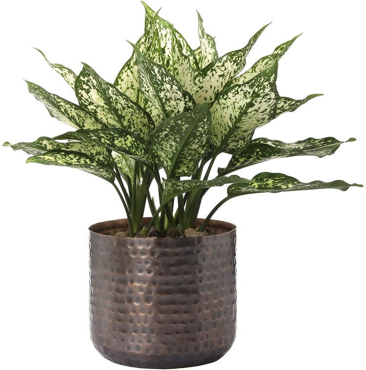6-Inch Metal Planter, Copper Tone Flowerpot with Hammered Texture, Succulent Planter, Cylindrical Indoor Plant Container-MyGift