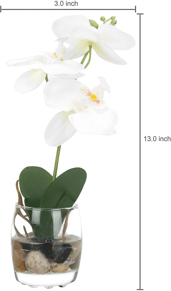 White Mini Synthetic Silk Artificial Phalaenopsis Orchid in Glass Vase-MyGift